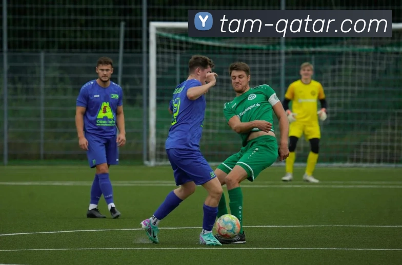 TVT体育平台生态图